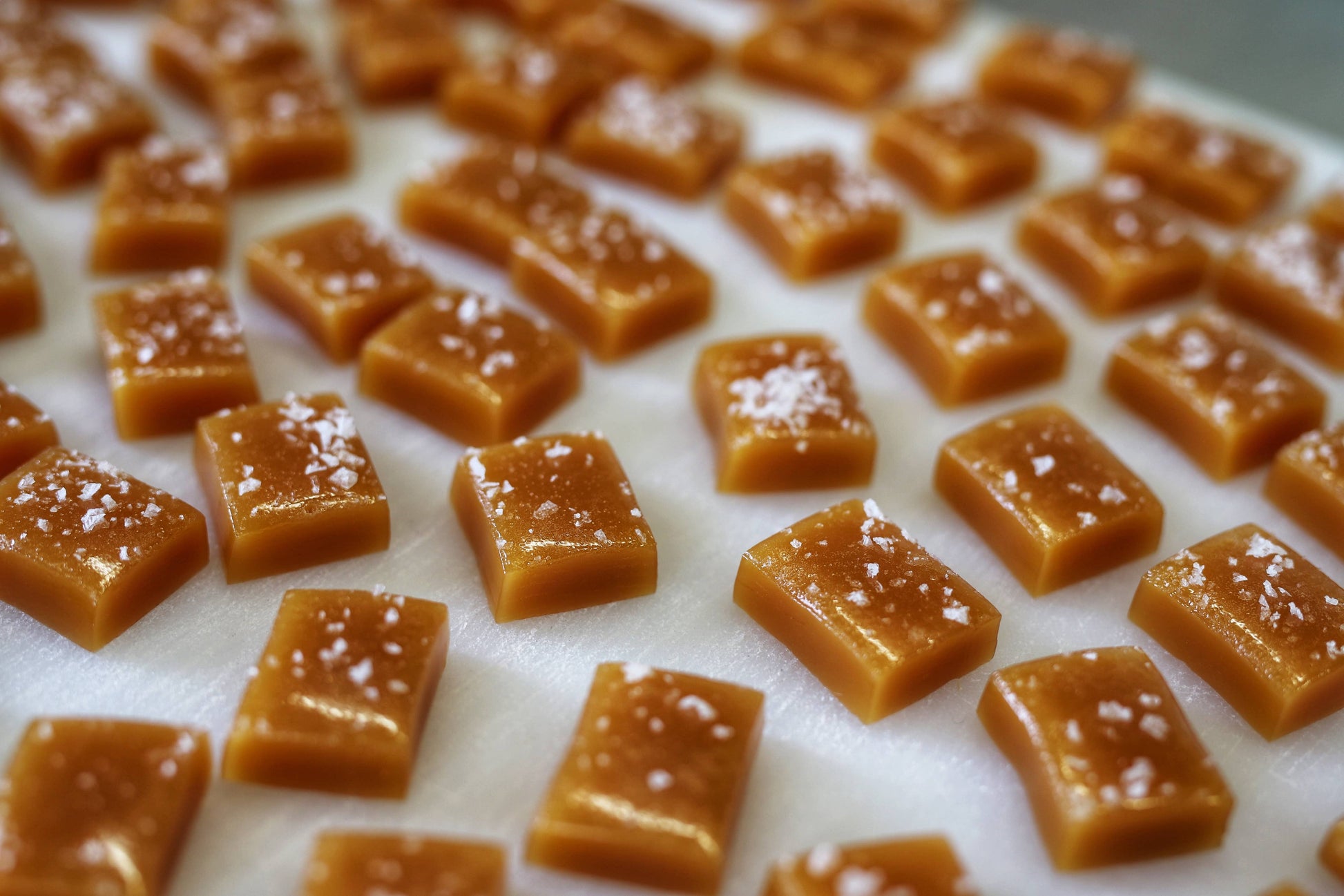 seasonal nog caramel