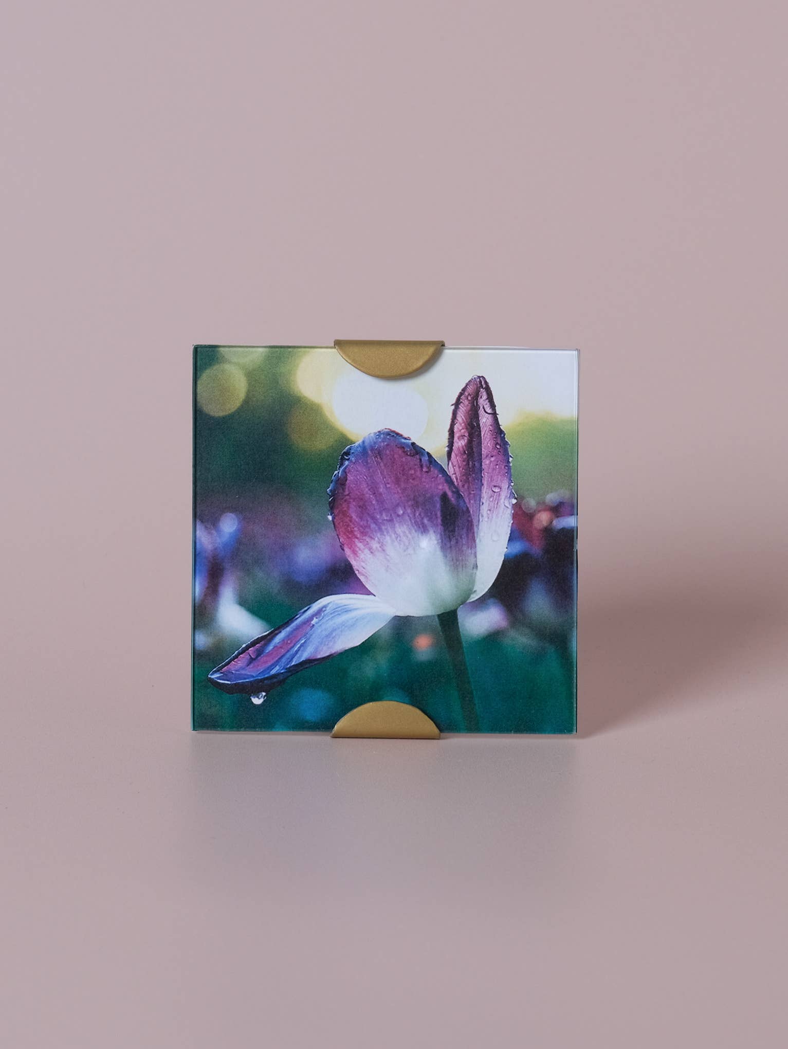 scallop frame 5X5