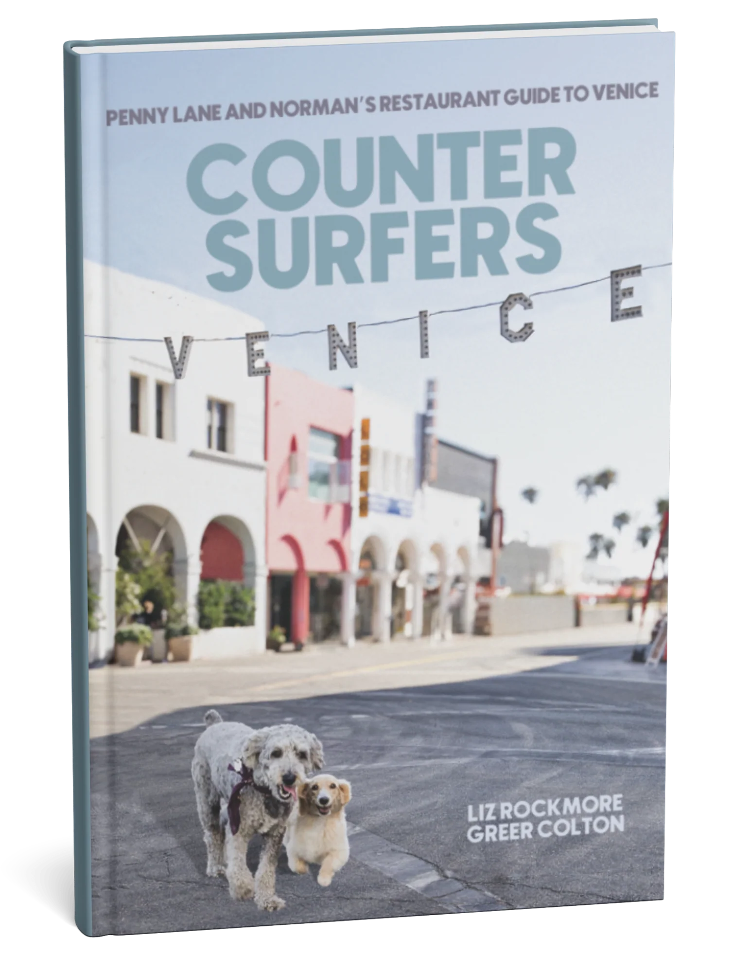 counter surfers hardcover