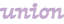 union logo