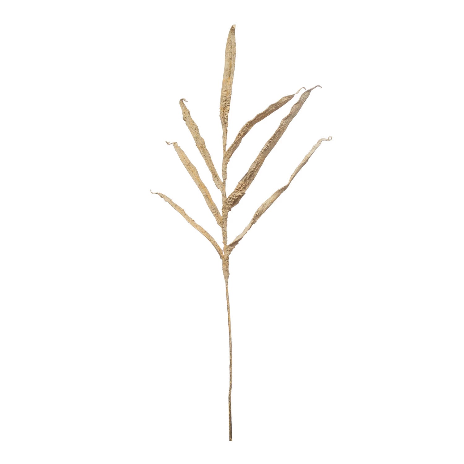 sand colored faux plaster botanical leaf