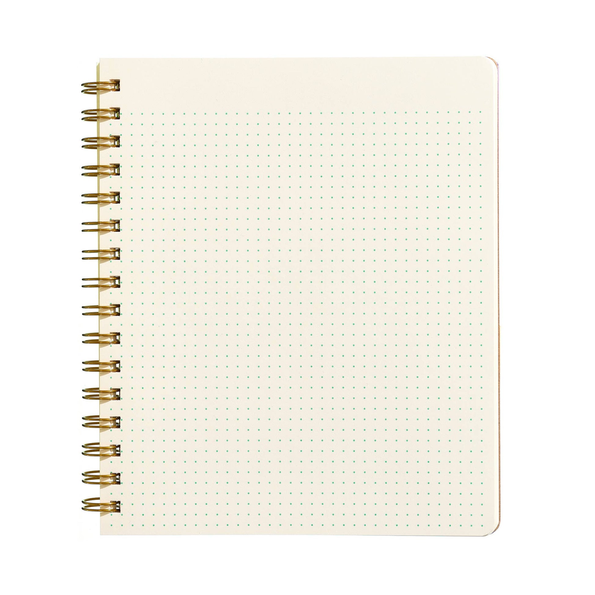 standard notebook - ocean
