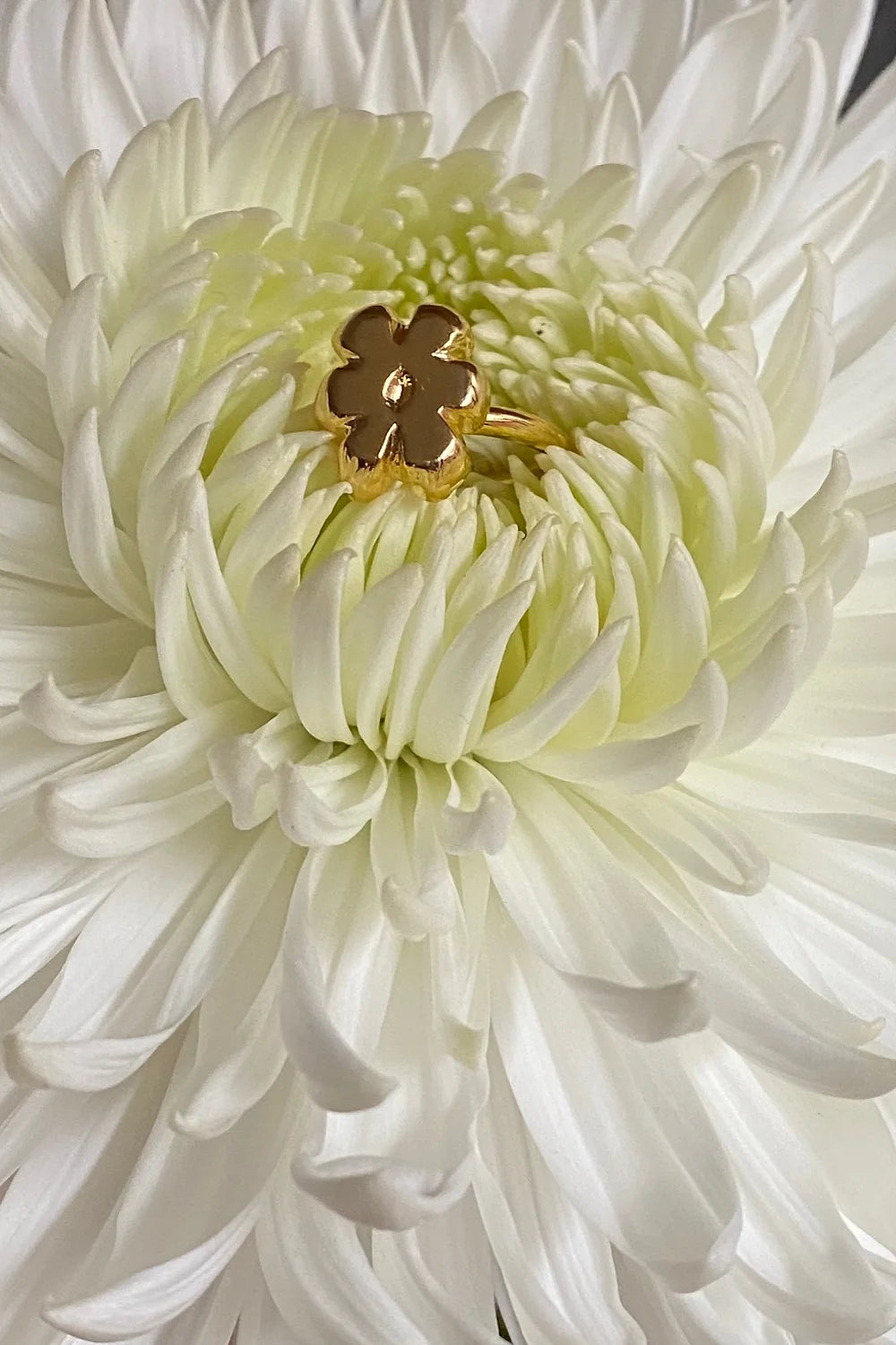 daisy ring
