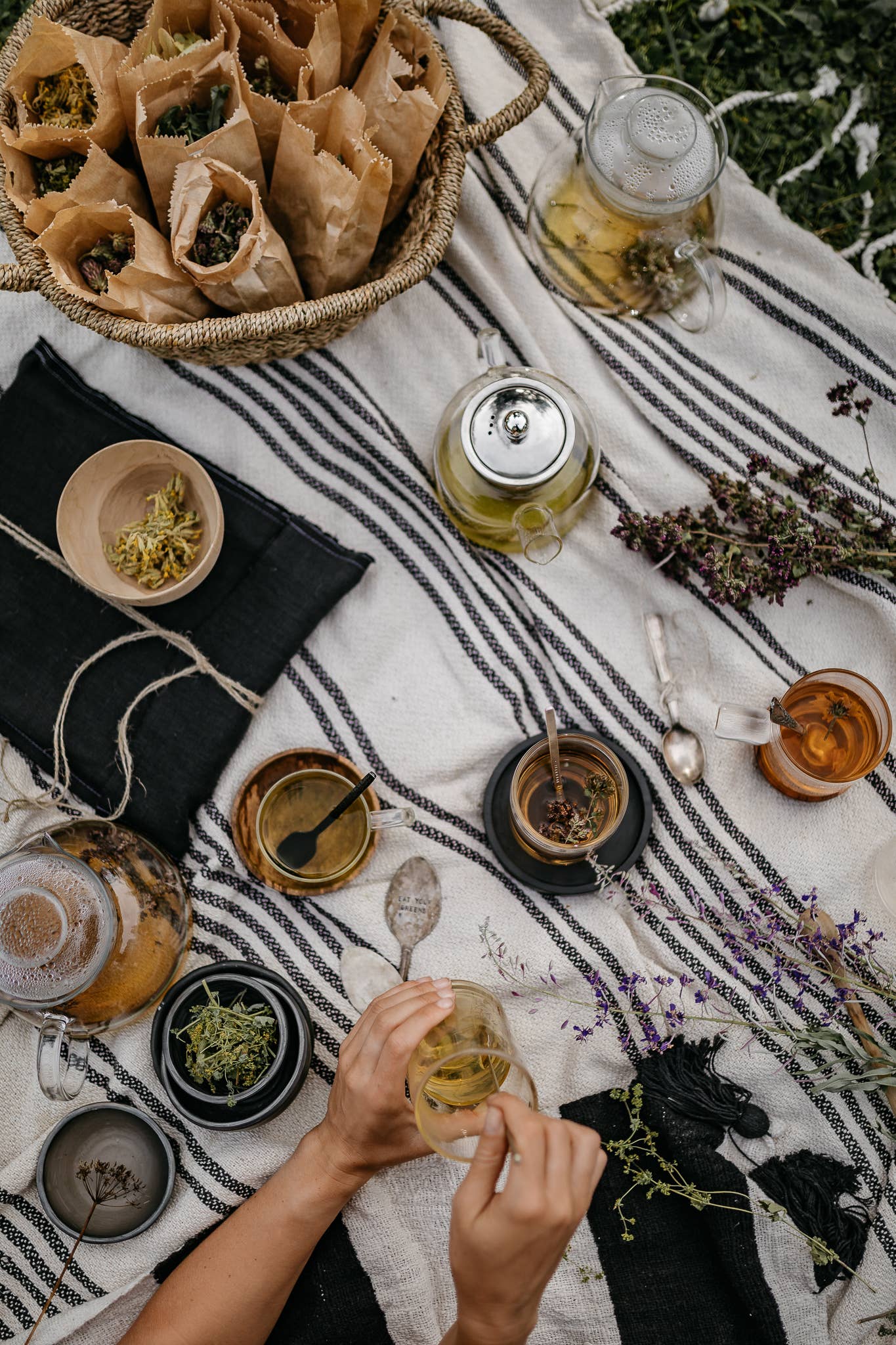 nordic black tea - decaf