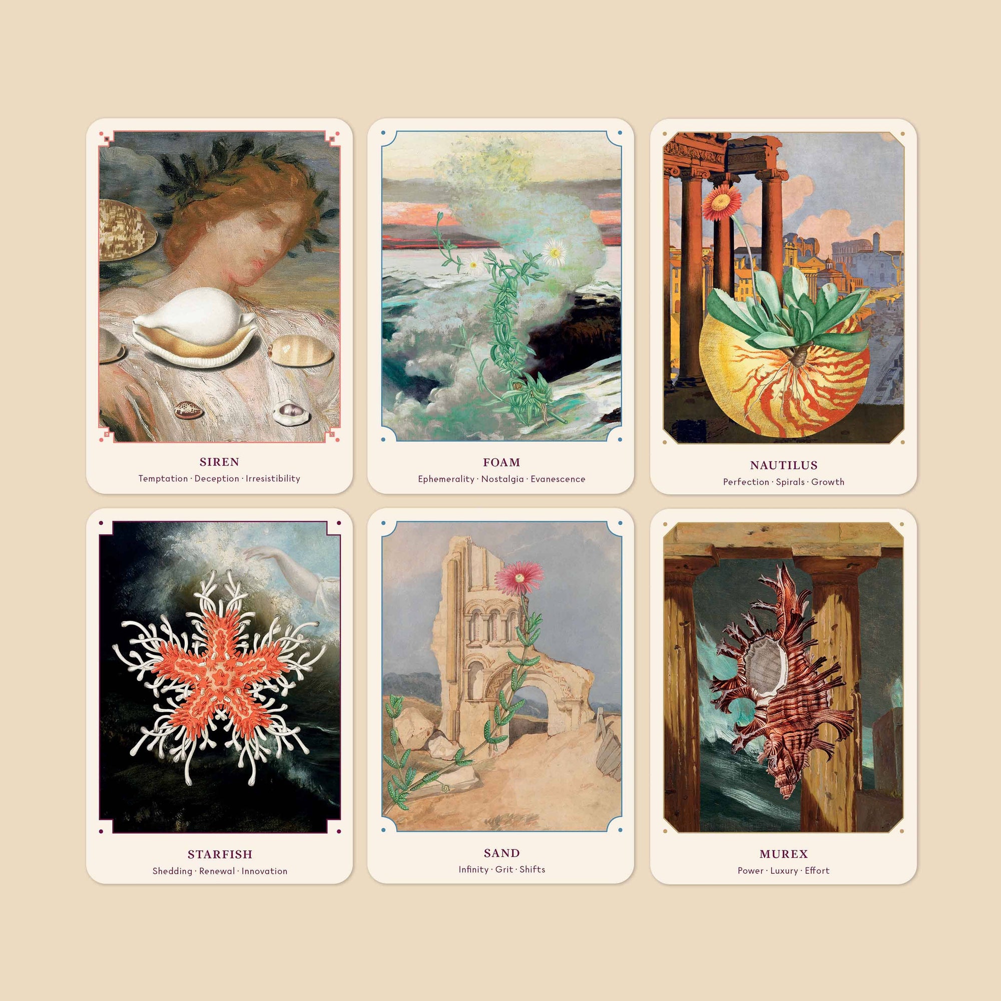 the seashell oracle: 44 card deck and guidebook