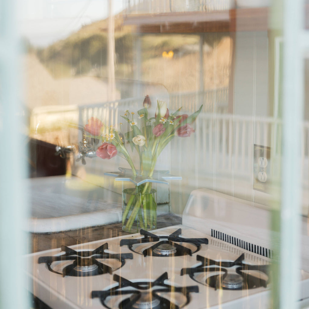 star flower frog  | sky blue