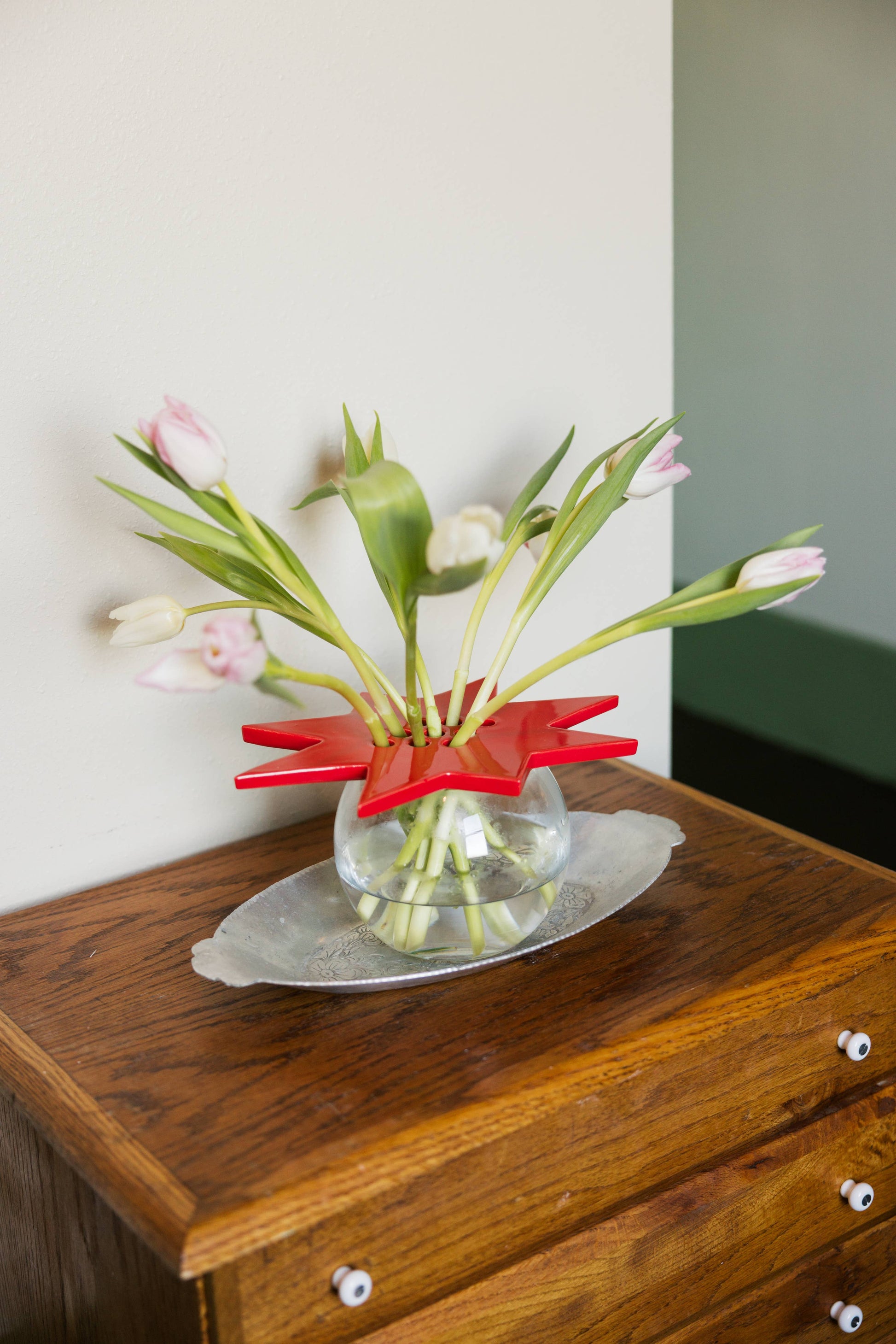 star flower frog  | ruby red