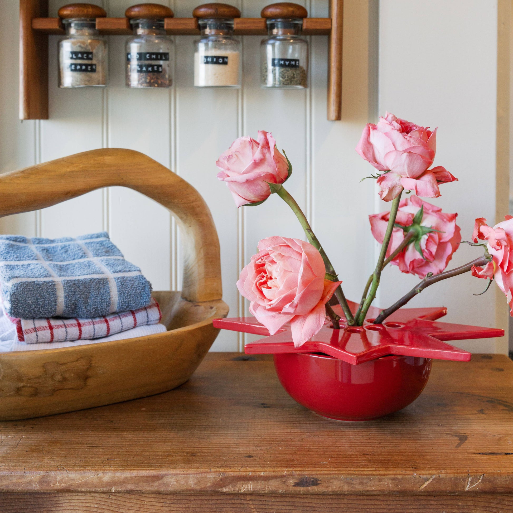 star flower frog  | ruby red