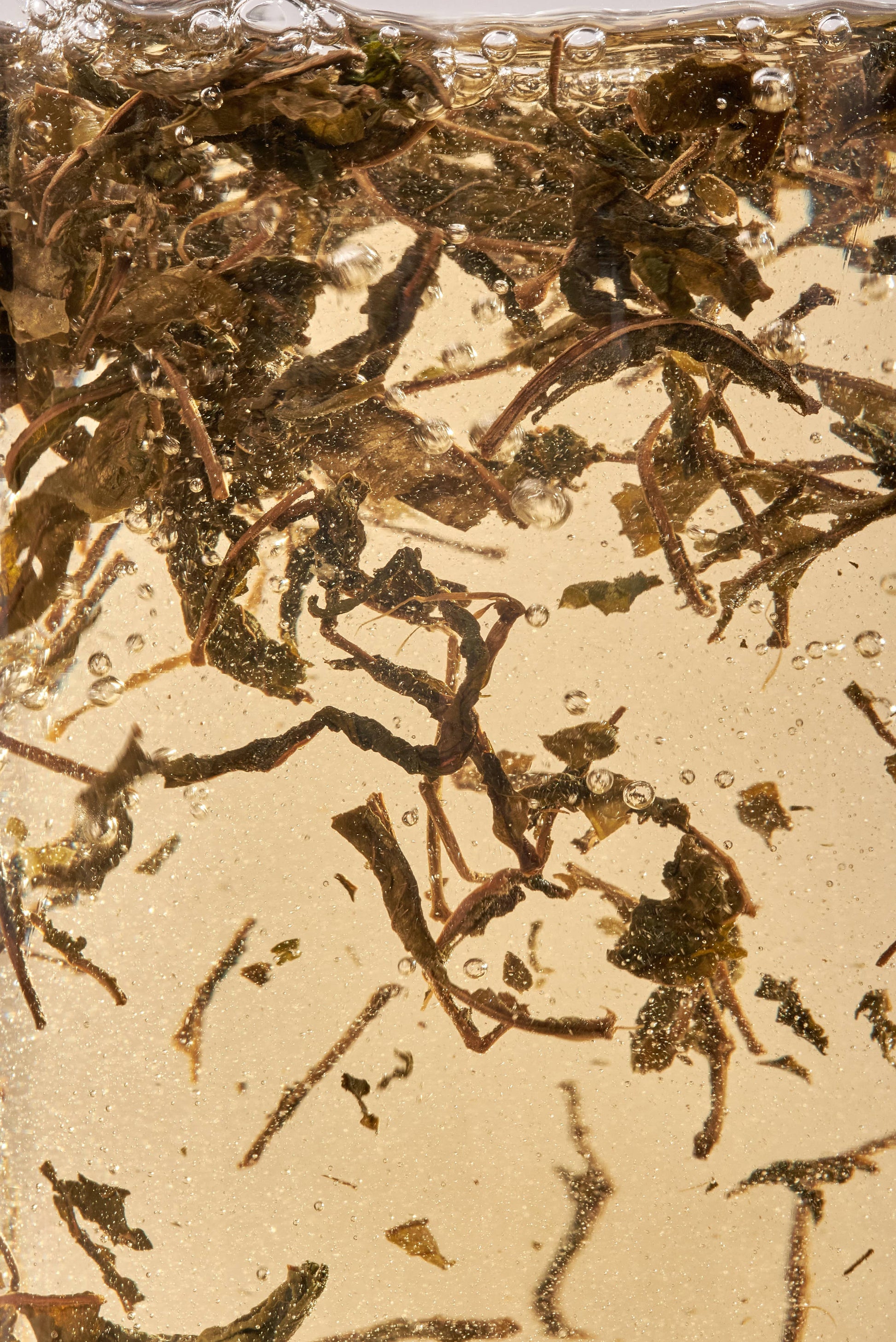 nordic black tea - decaf