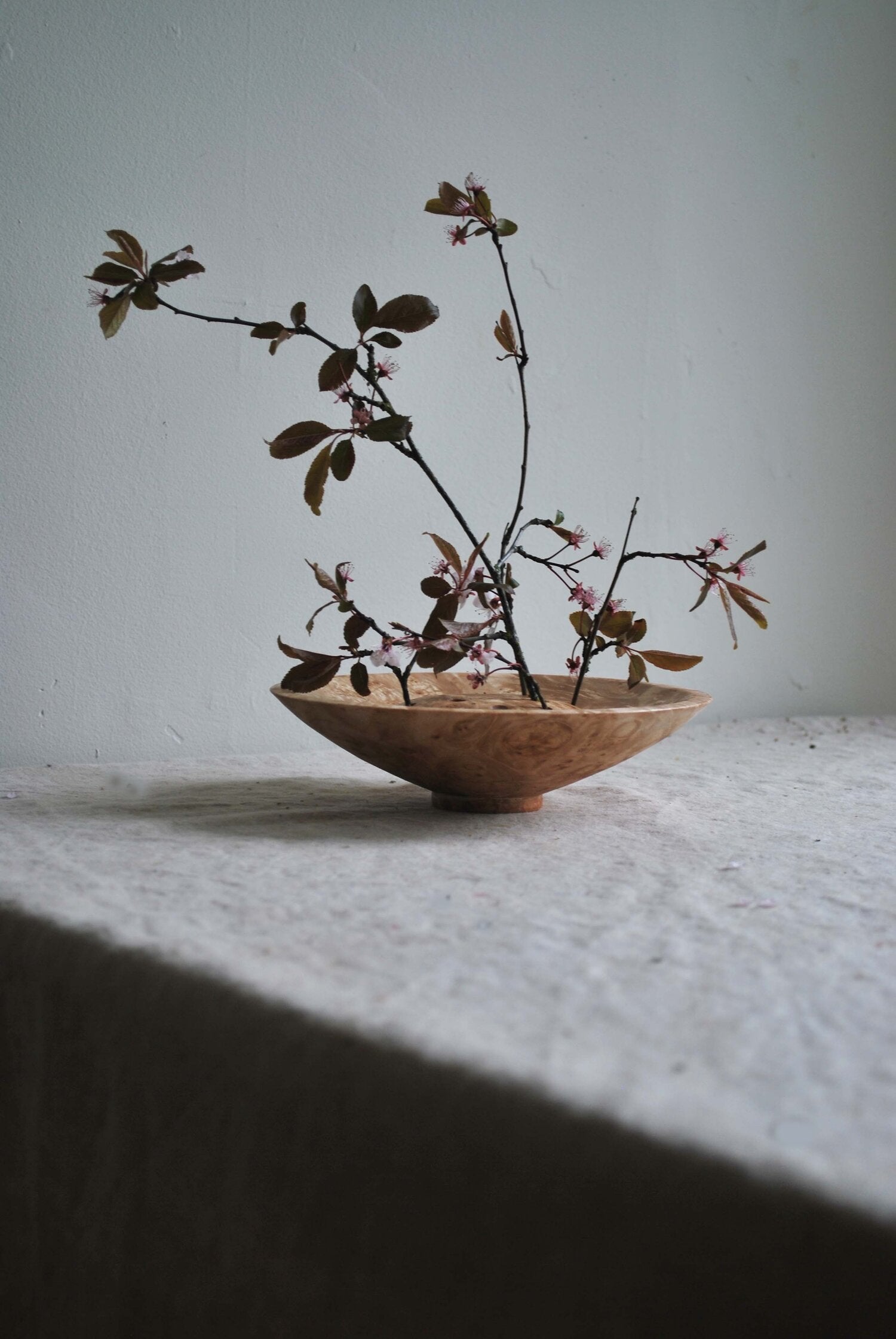 dried flower bowl medium, walnut