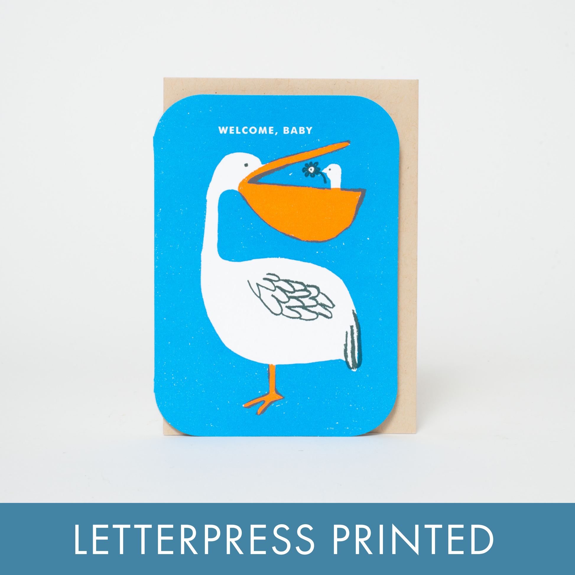 baby congrats pelican welcome letterpress greeting card