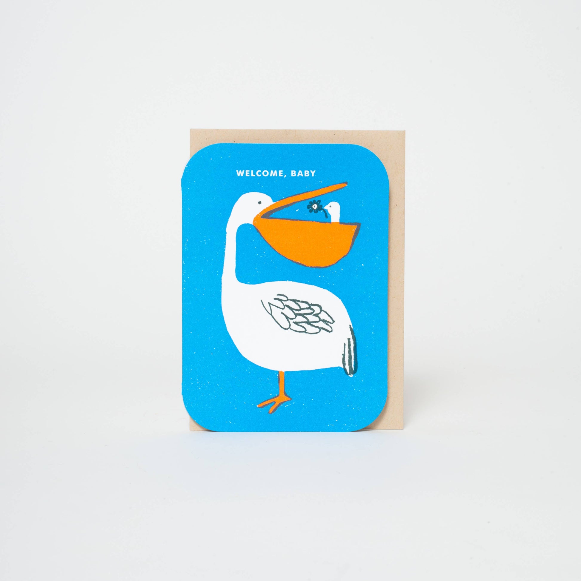 baby congrats pelican welcome letterpress greeting card