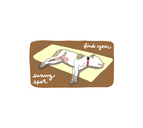 sun spot sticker