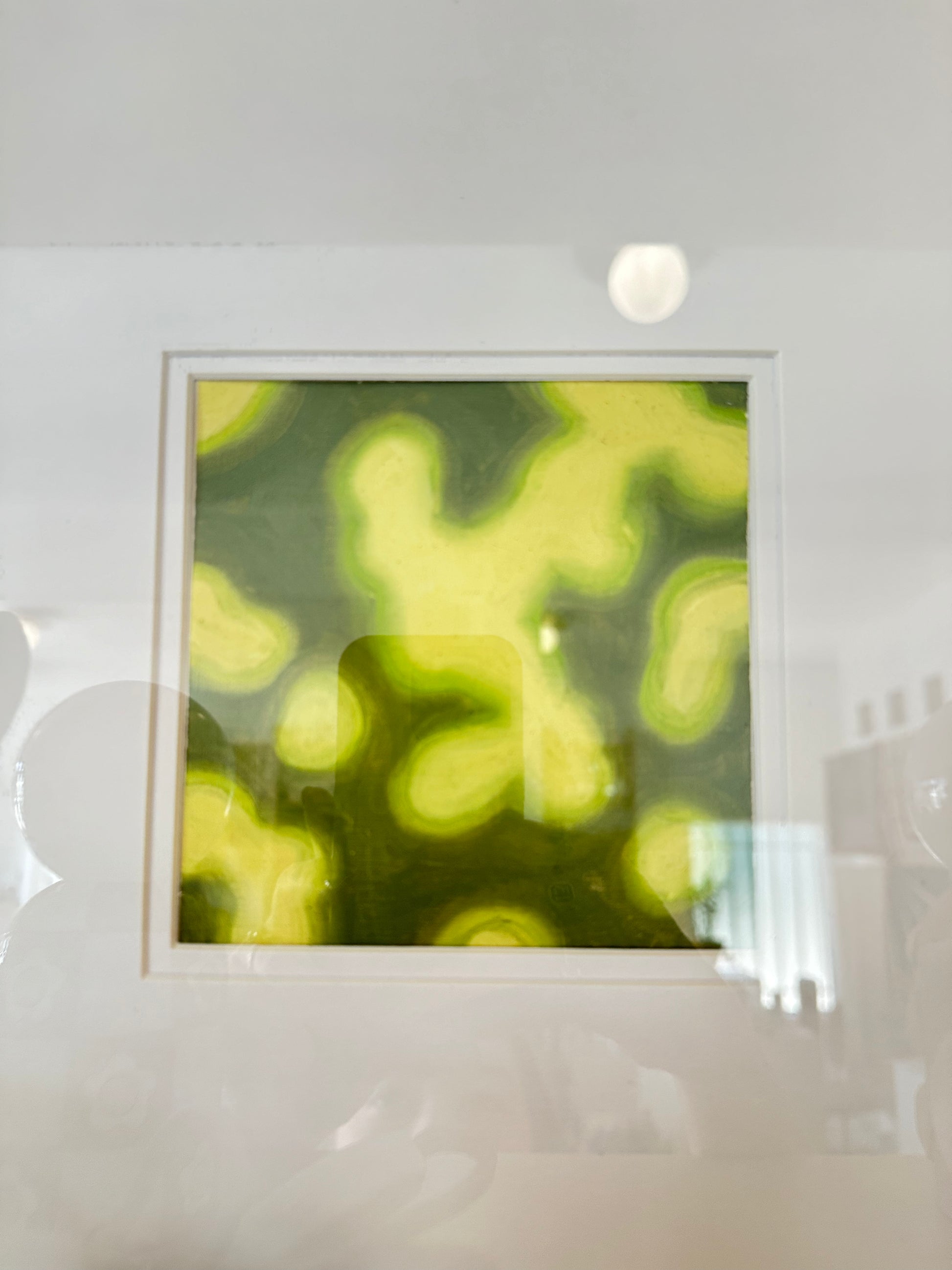 sunspots 4x4 paintings by mary royall wilgis