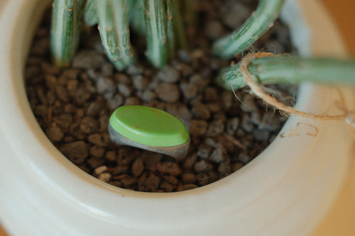 pistachio quartz skinny oval ring