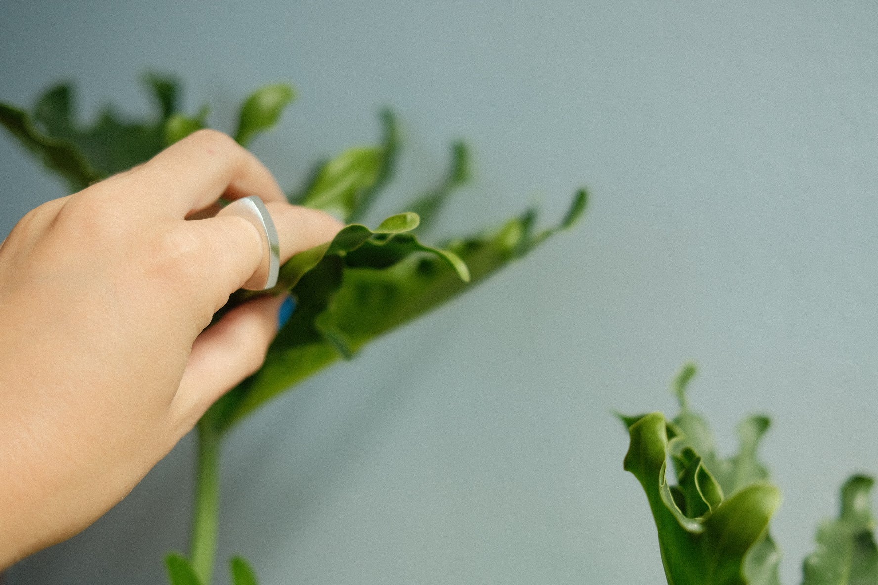 silver wide triangular ring