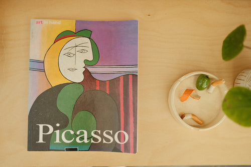 art in hand picasso paperback book (vintage)
