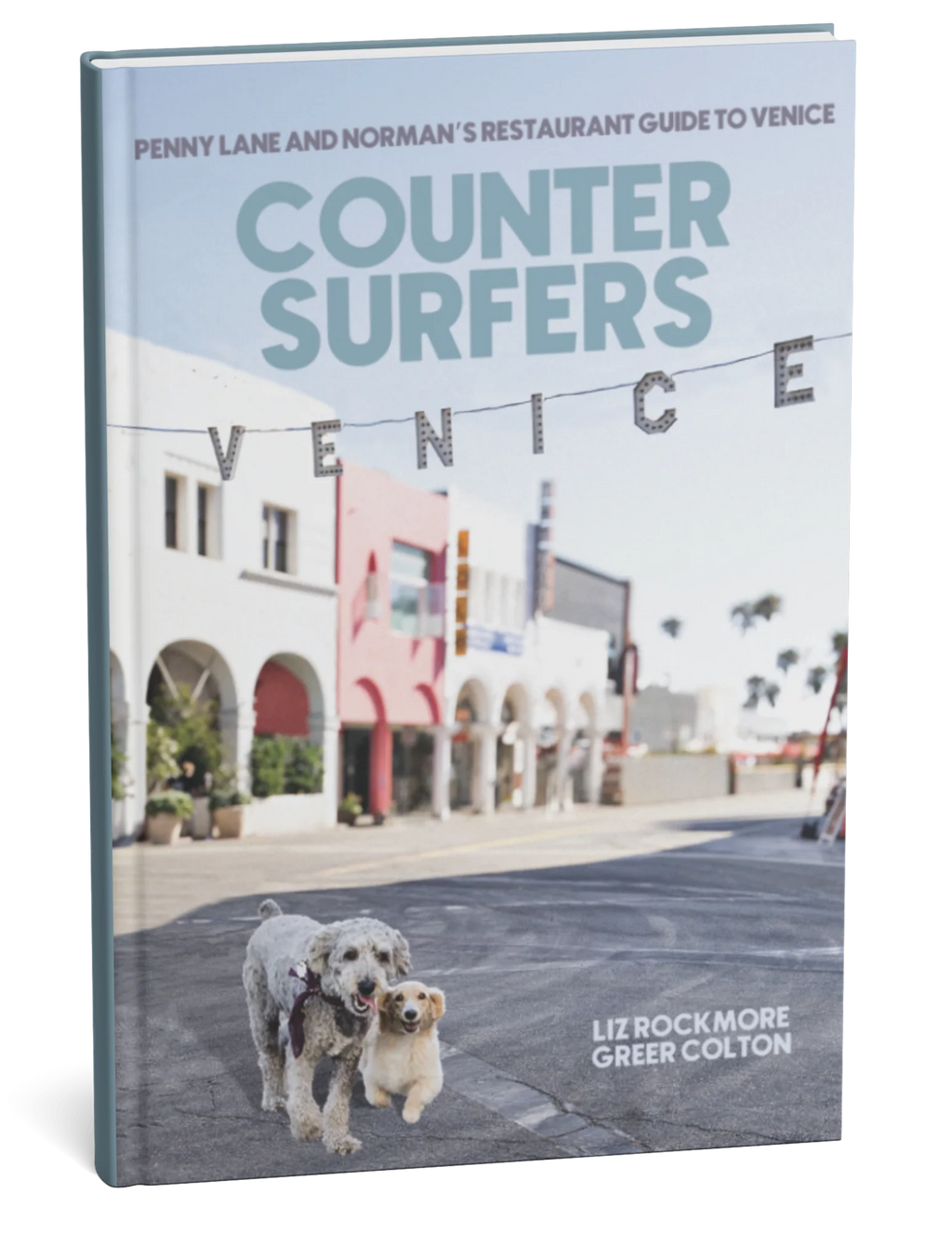counter surfers hardcover
