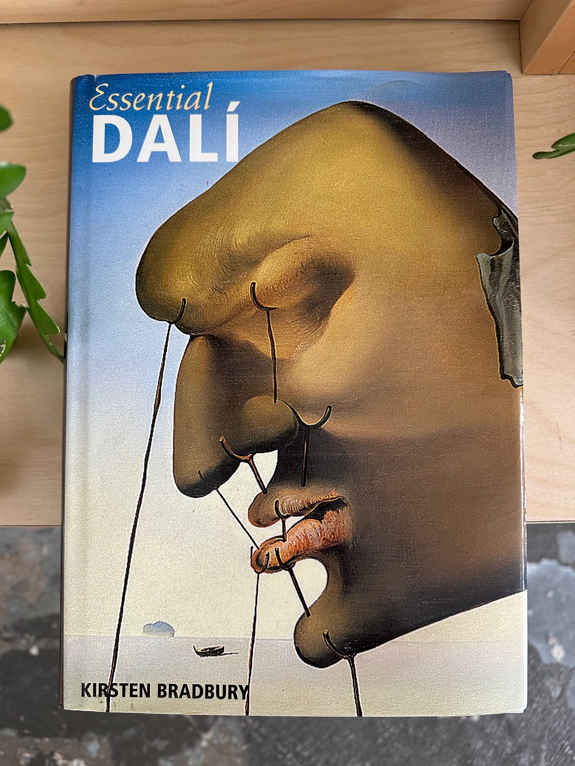 essential dali book