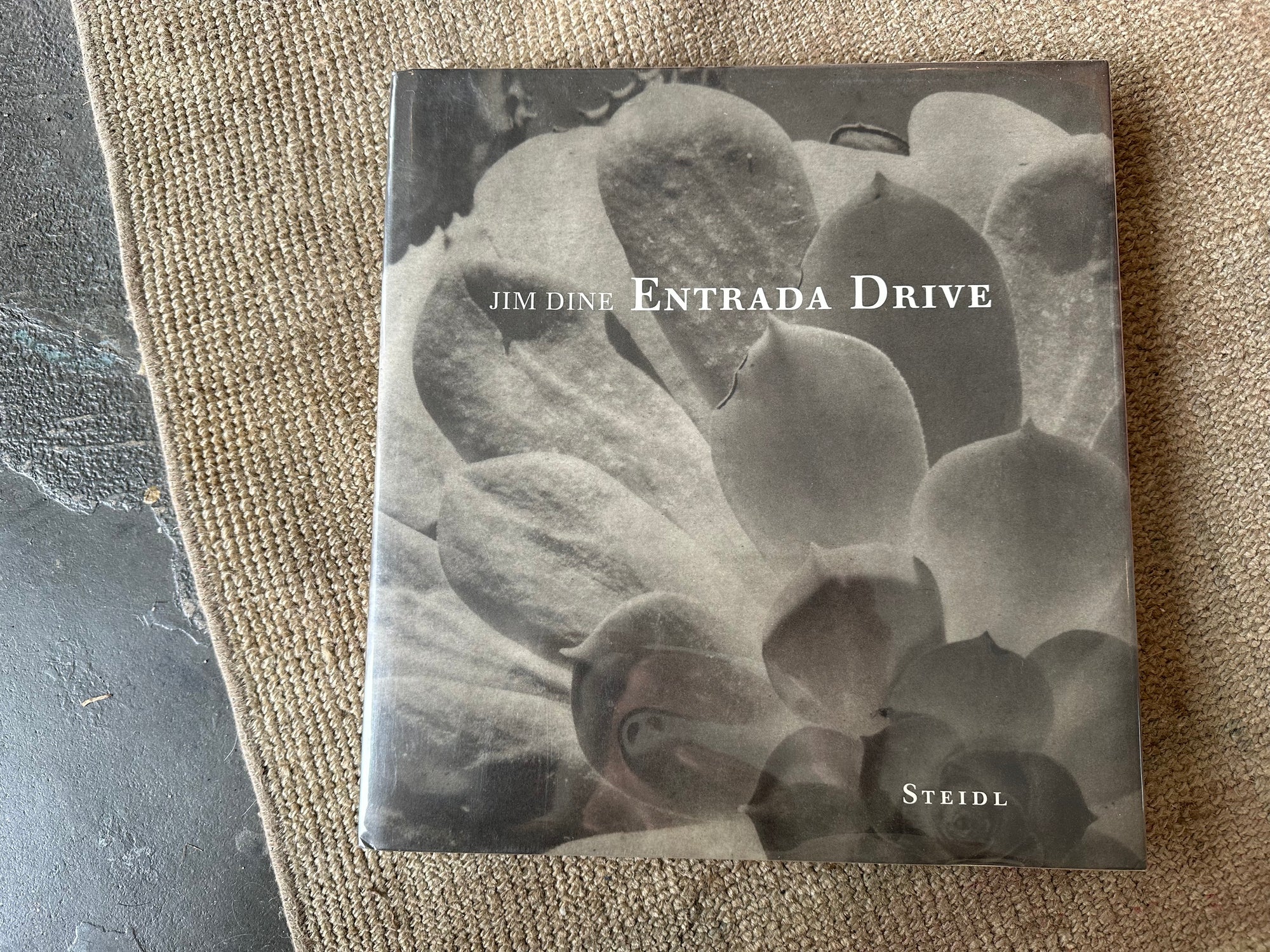 jim dine entrada drive coffee table book