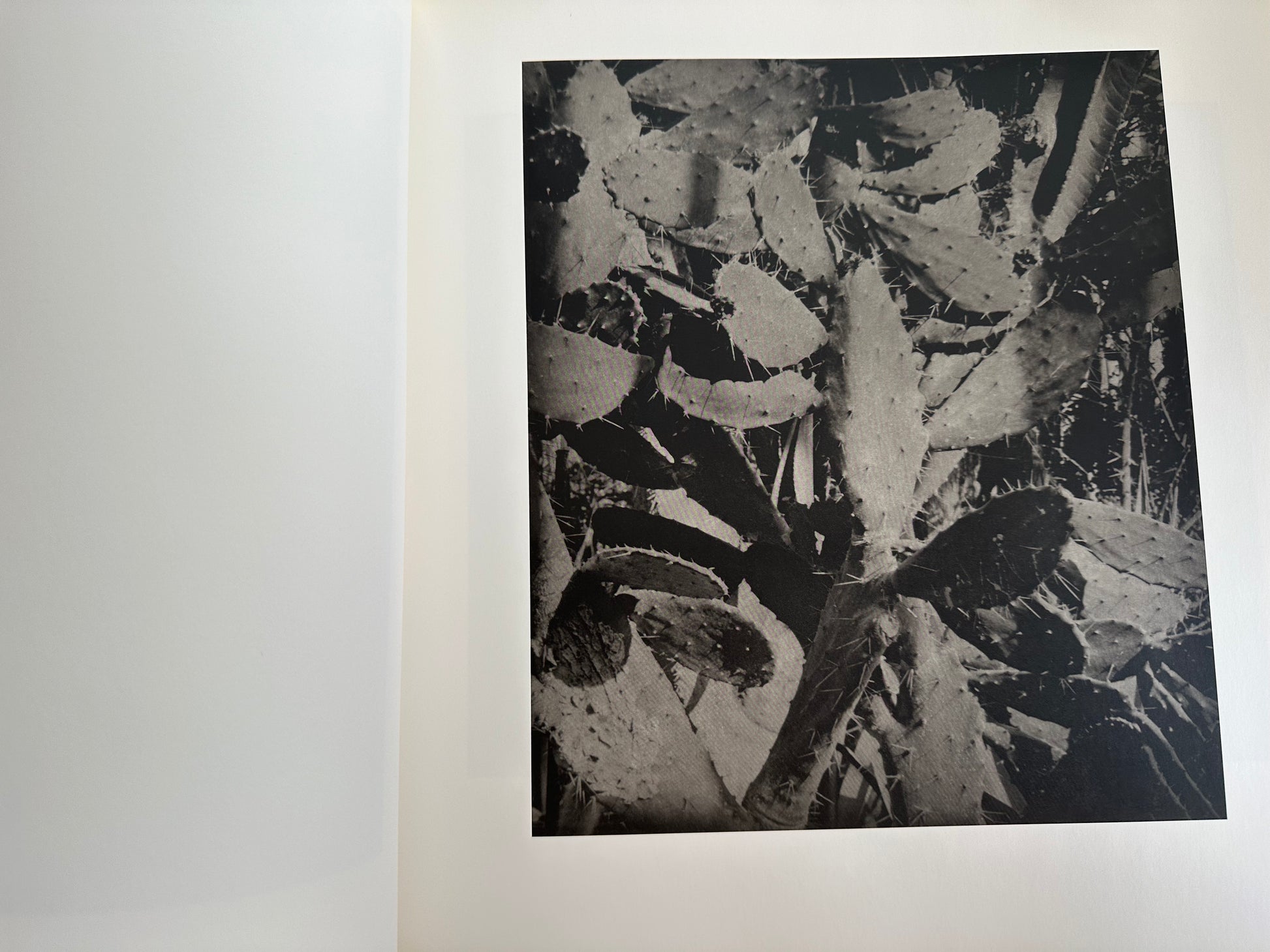 jim dine entrada drive coffee table book