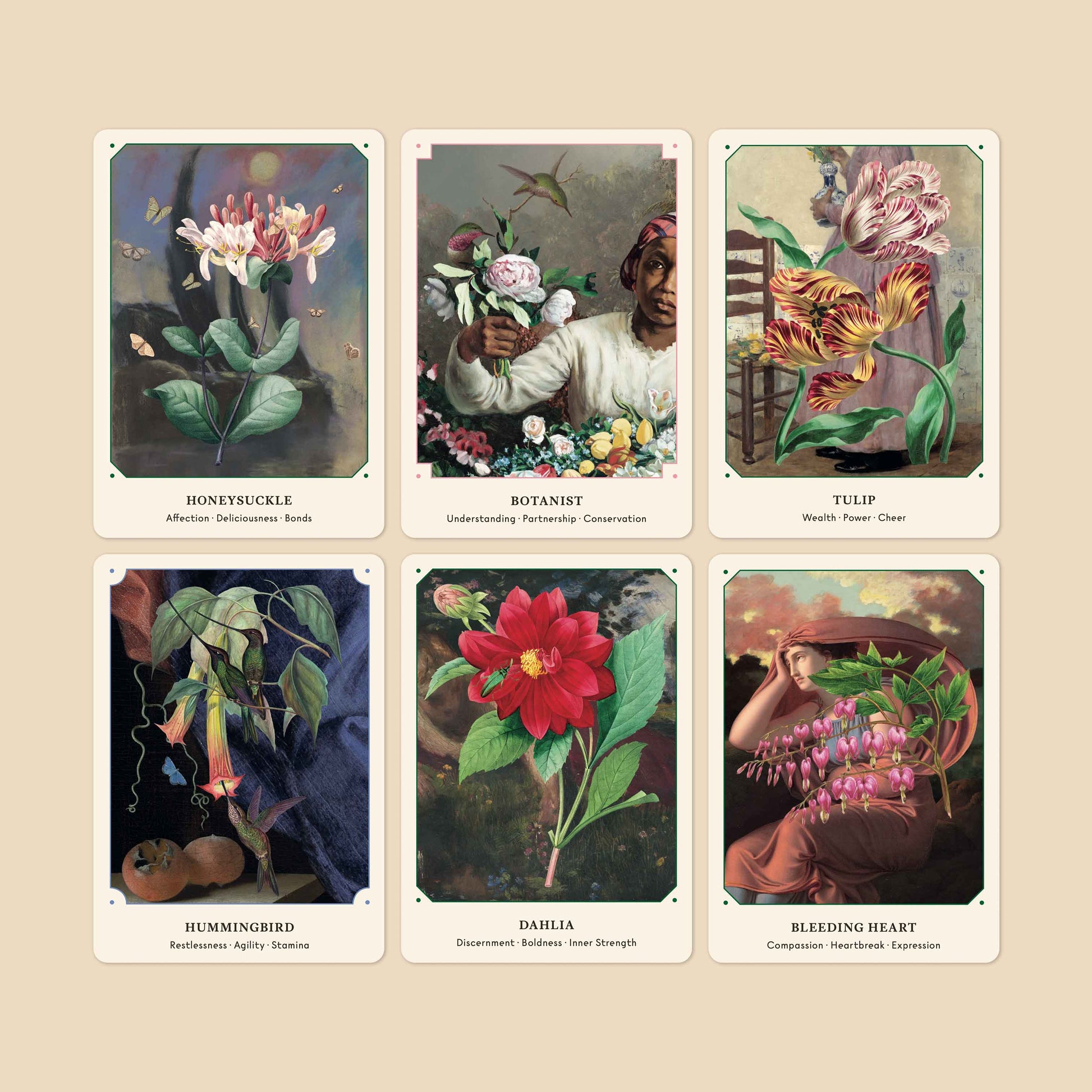 the flower oracle: 44 card deck and guidebook