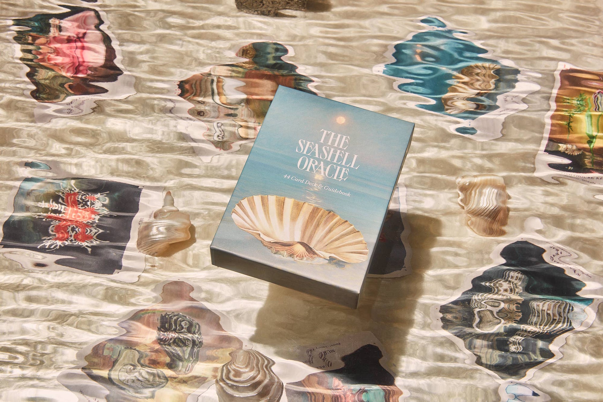 the seashell oracle: 44 card deck and guidebook