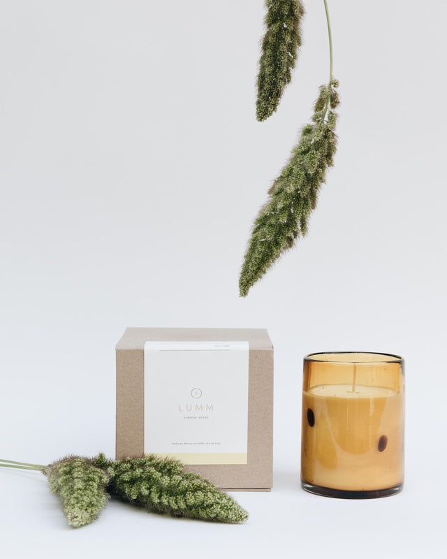 fig + vetiver - 10oz.
