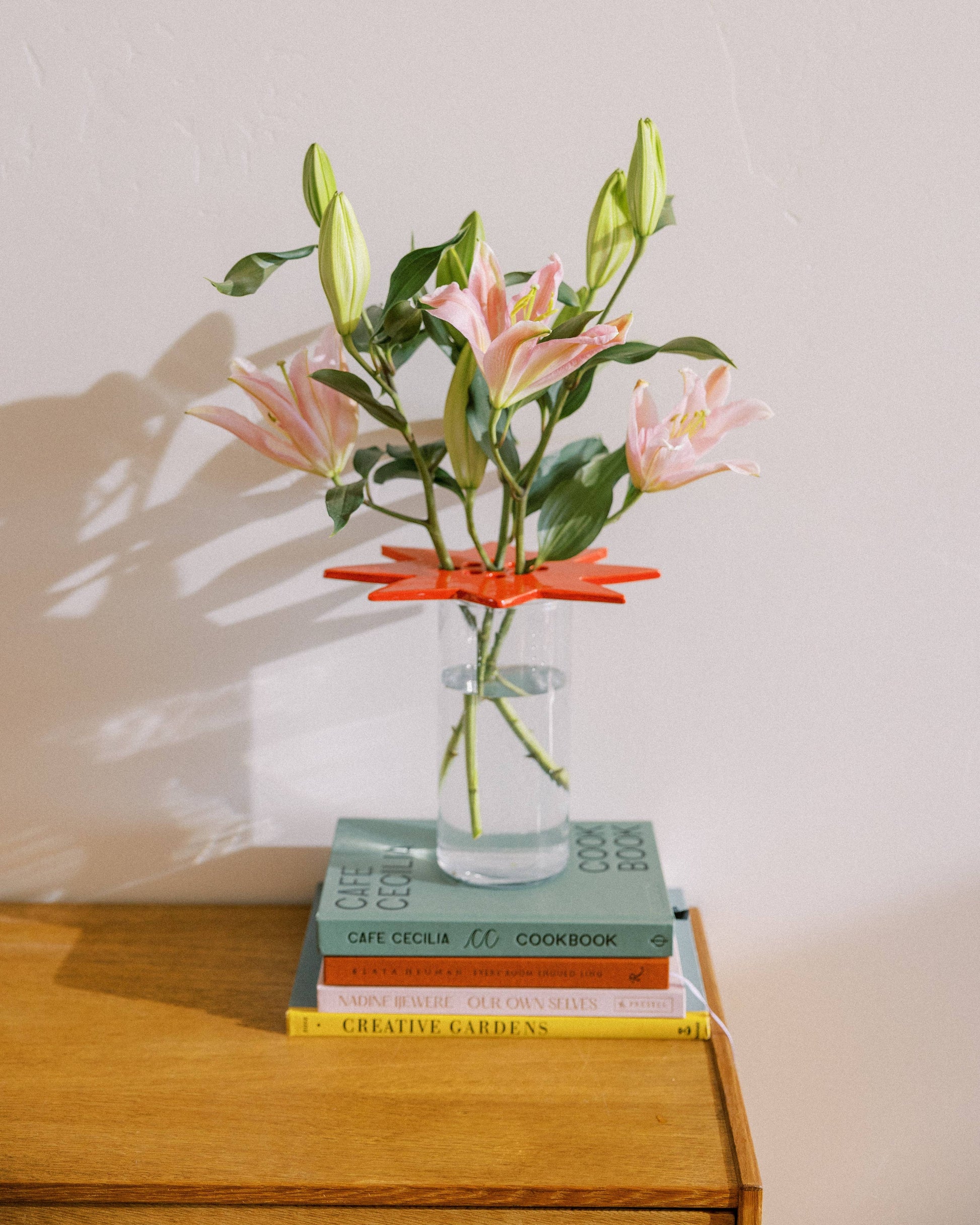 star flower frog  | ruby red