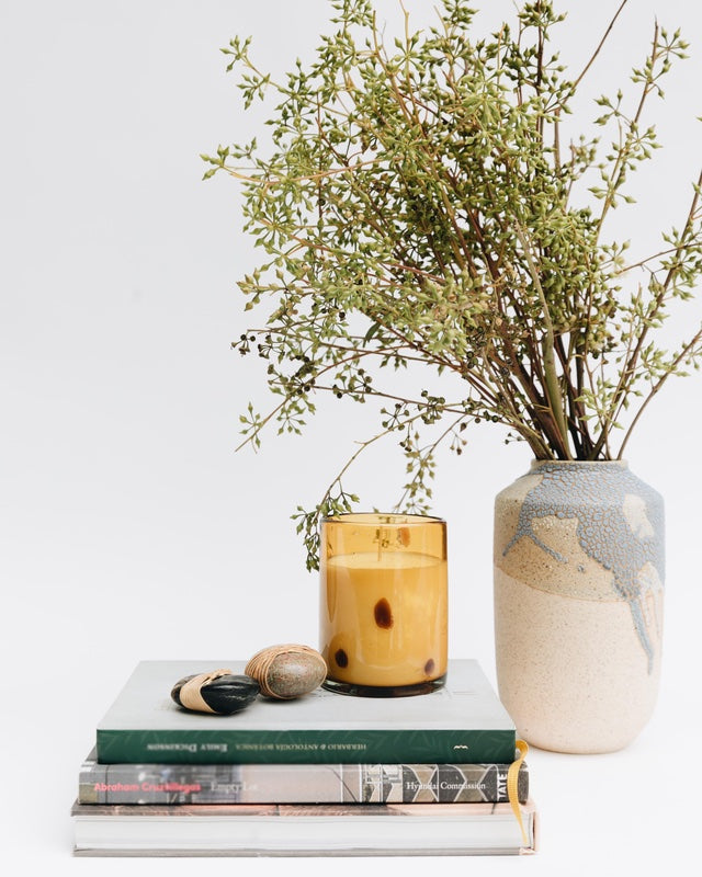 fig + vetiver - 10oz.