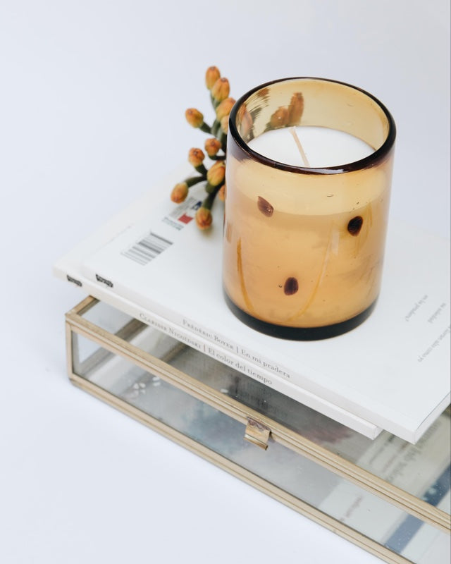 fig + vetiver - 10oz.