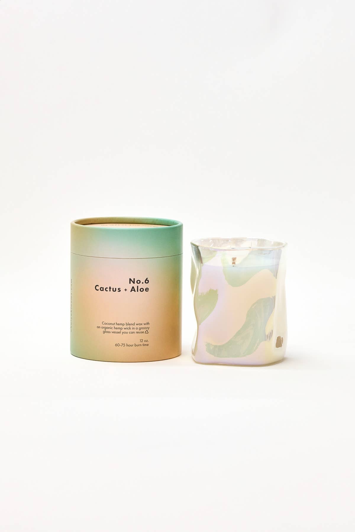 12oz. no. 6 cactus + aloe candle
