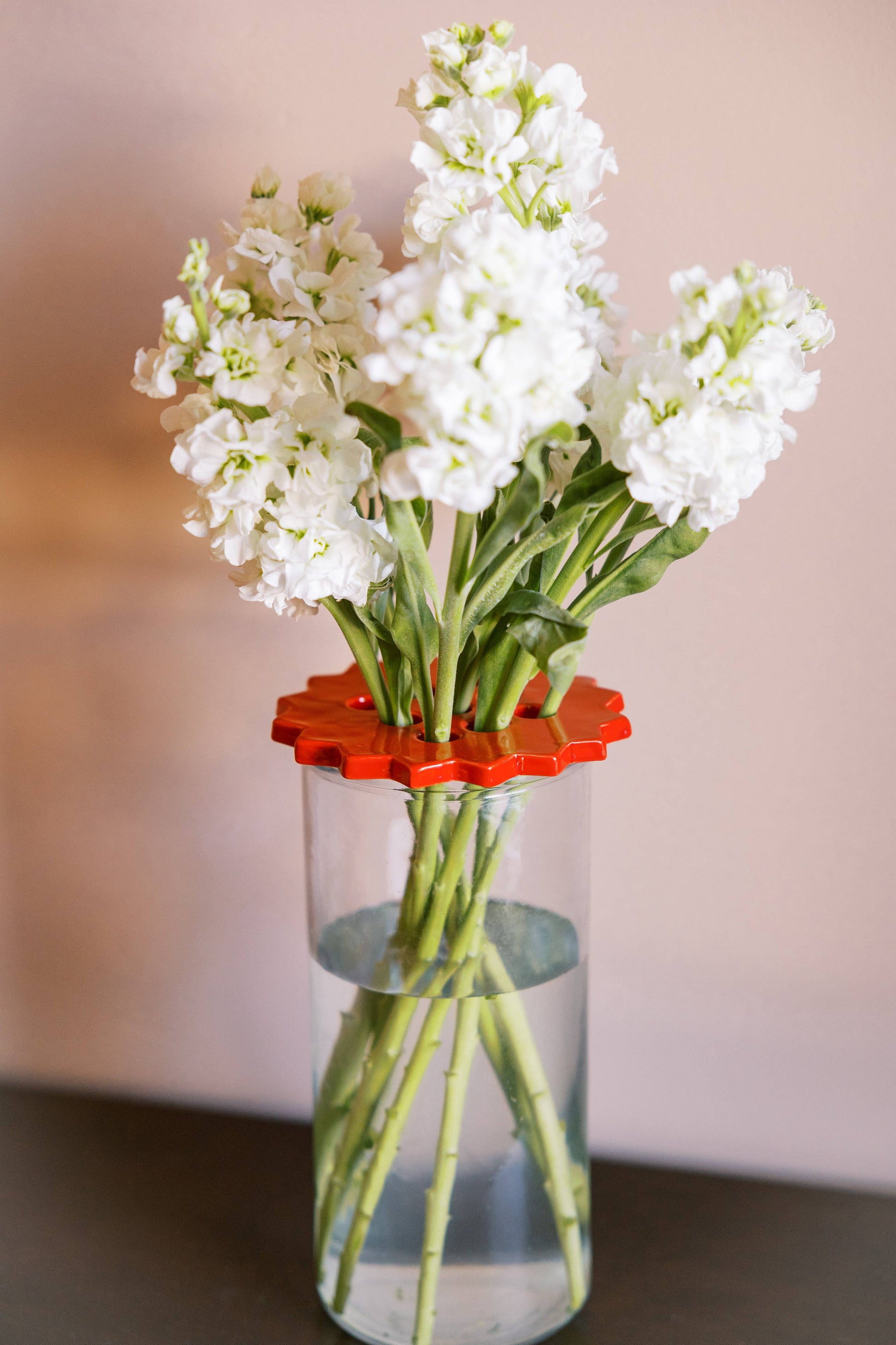 sunshine flower frog | ruby red | ceramic lid