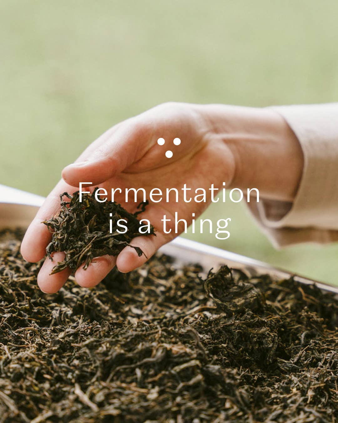 nordic black tea - decaf