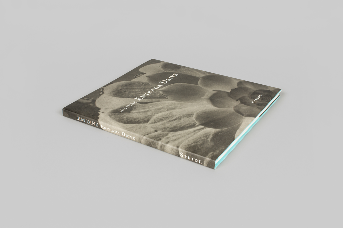 jim dine entrada drive coffee table book